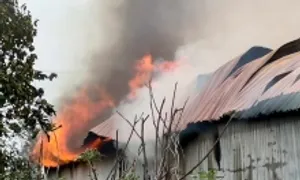 Xưởng mây tre đan ngoại thành Hà Nội cháy ngùn ngụt